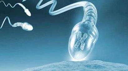 2026保定试管婴儿医院权威排行，这三大机构的技术都很好