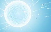 160斤可以做试管婴儿吗？