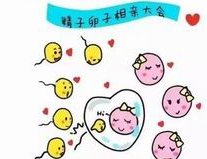 2026年上海第九人民医院试管婴儿多少钱？附花费明细