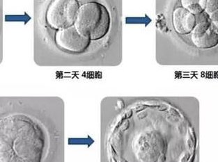 2026内蒙古呼和浩特正规助孕公司排名公布，这5家性价比较高