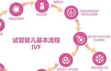 2026年三亚最大的助孕公司以及机构费用详细简介